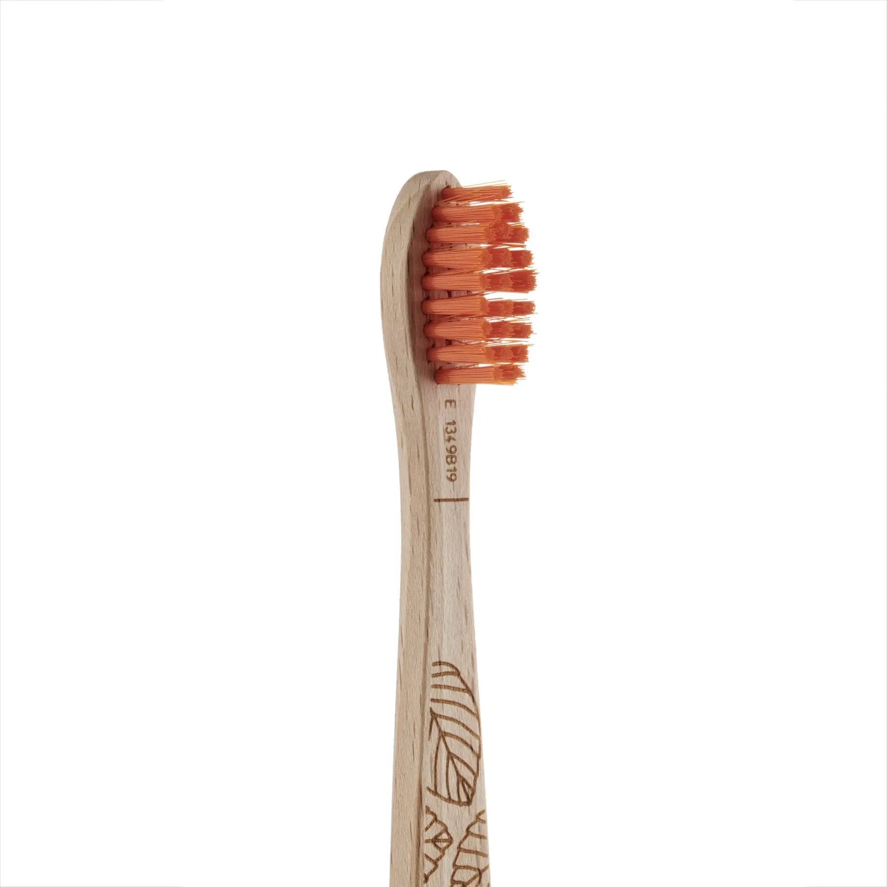 Cepillo de dientes de madera de haya para niños