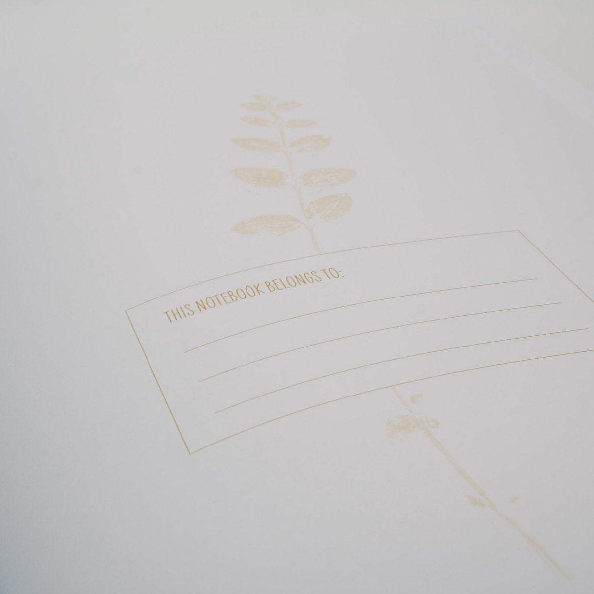 Cuaderno Bird Blue DIN A5