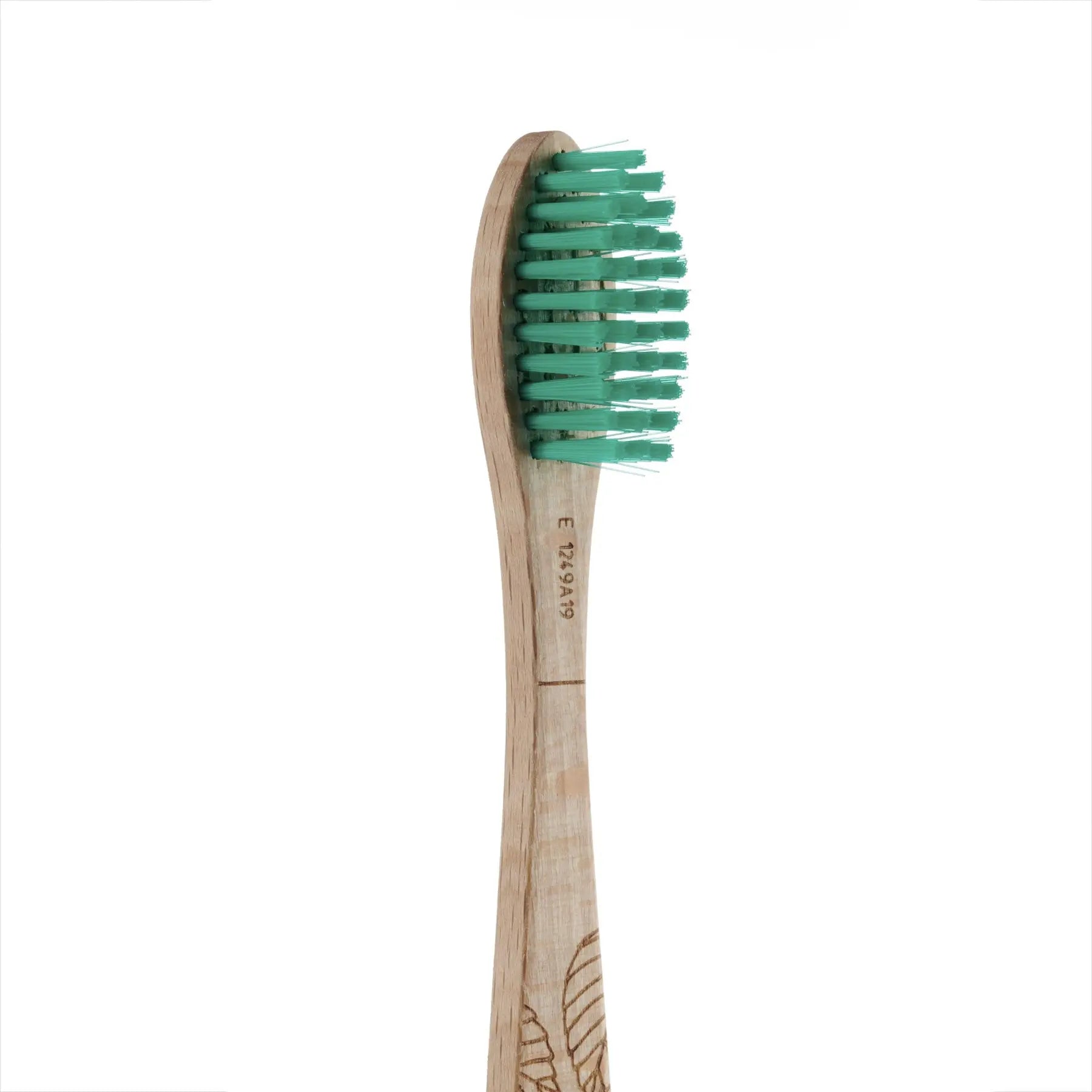 Cepillo de dientes de madera de haya adultos Medio